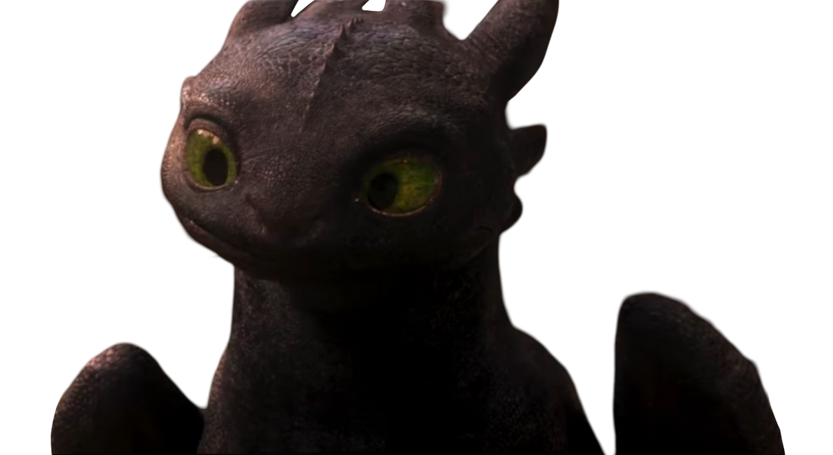 Live action Toothless by Draco-Awesomeness on DeviantArt