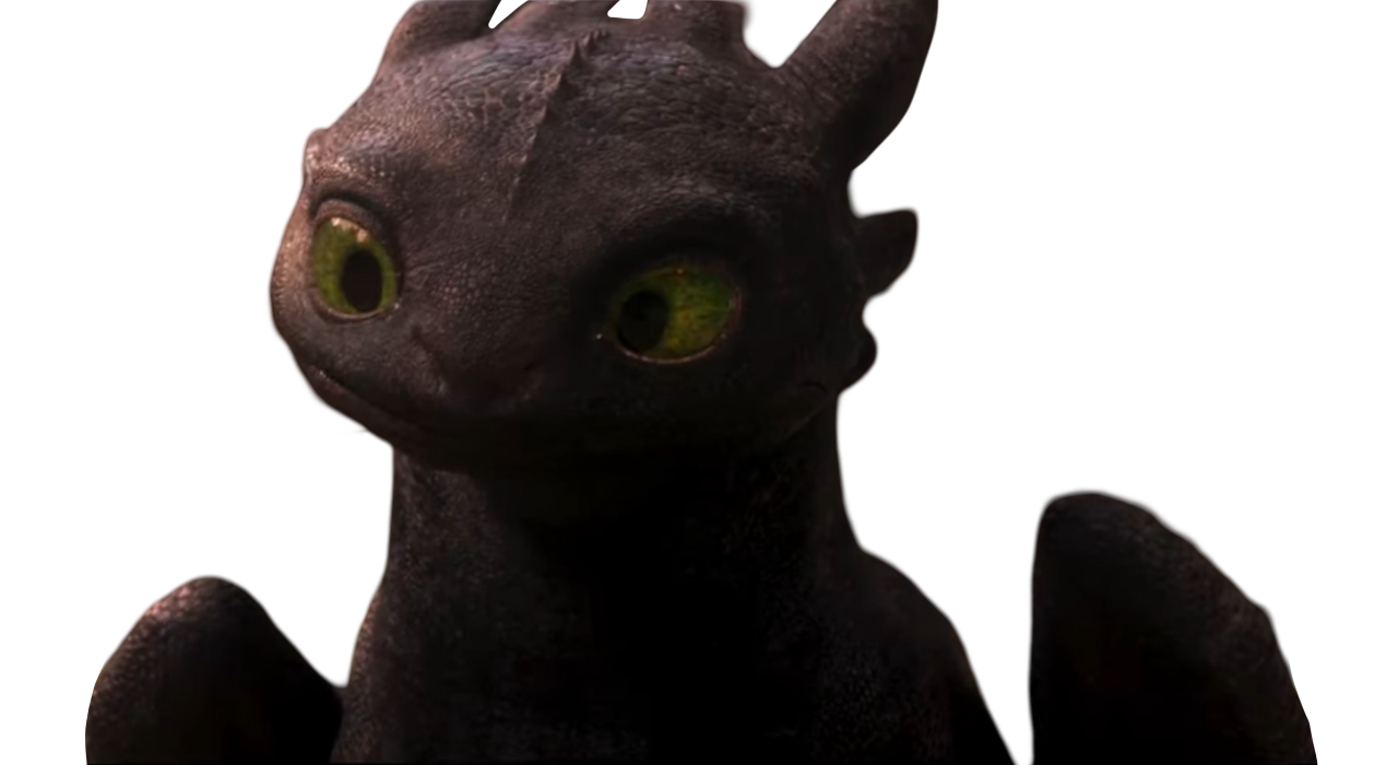 Live action Toothless by Draco-Awesomeness on DeviantArt