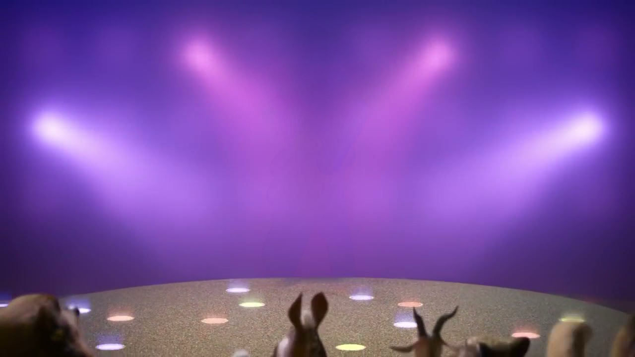 Zootopia Rocker Zootopia concert by Draco-Awesomeness on DeviantArt