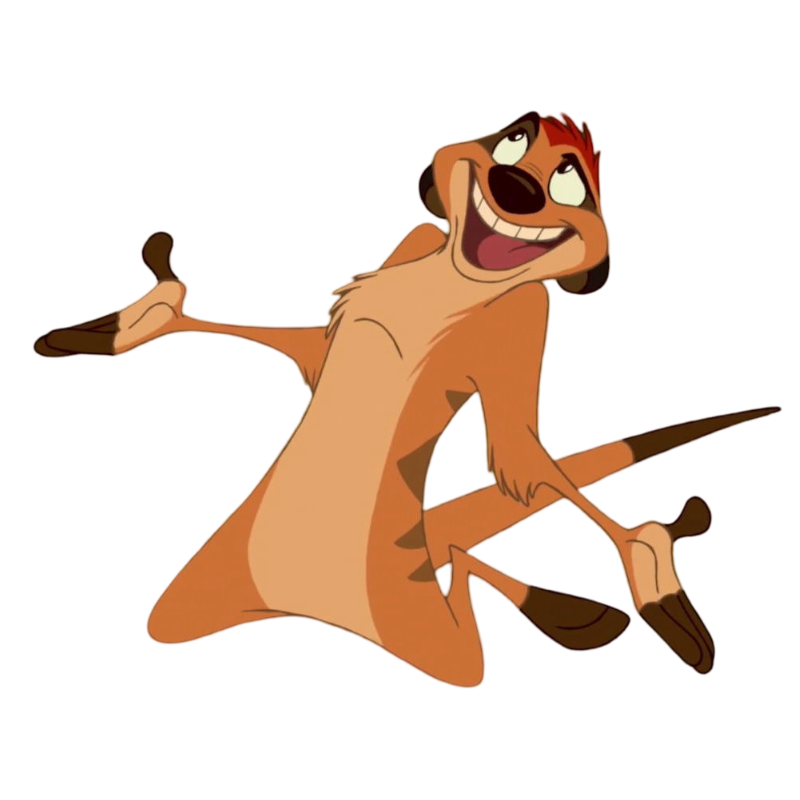 Timon What Timon by Draco-Awesomeness on DeviantArt