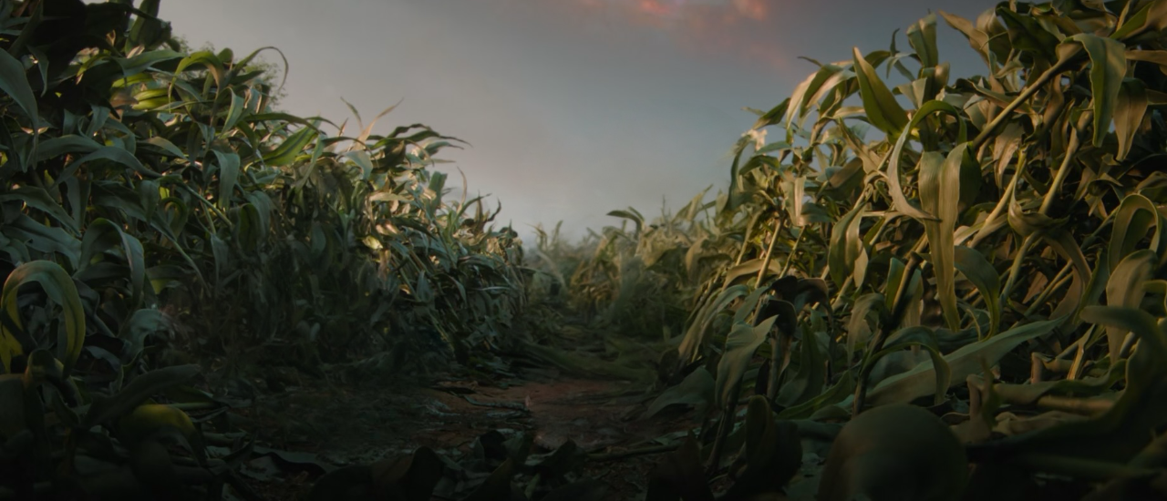Corn Fed Deviantart The corn field by Draco-Awesomeness on DeviantArt