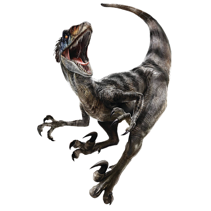 Raptor by Draco-Awesomeness on DeviantArt