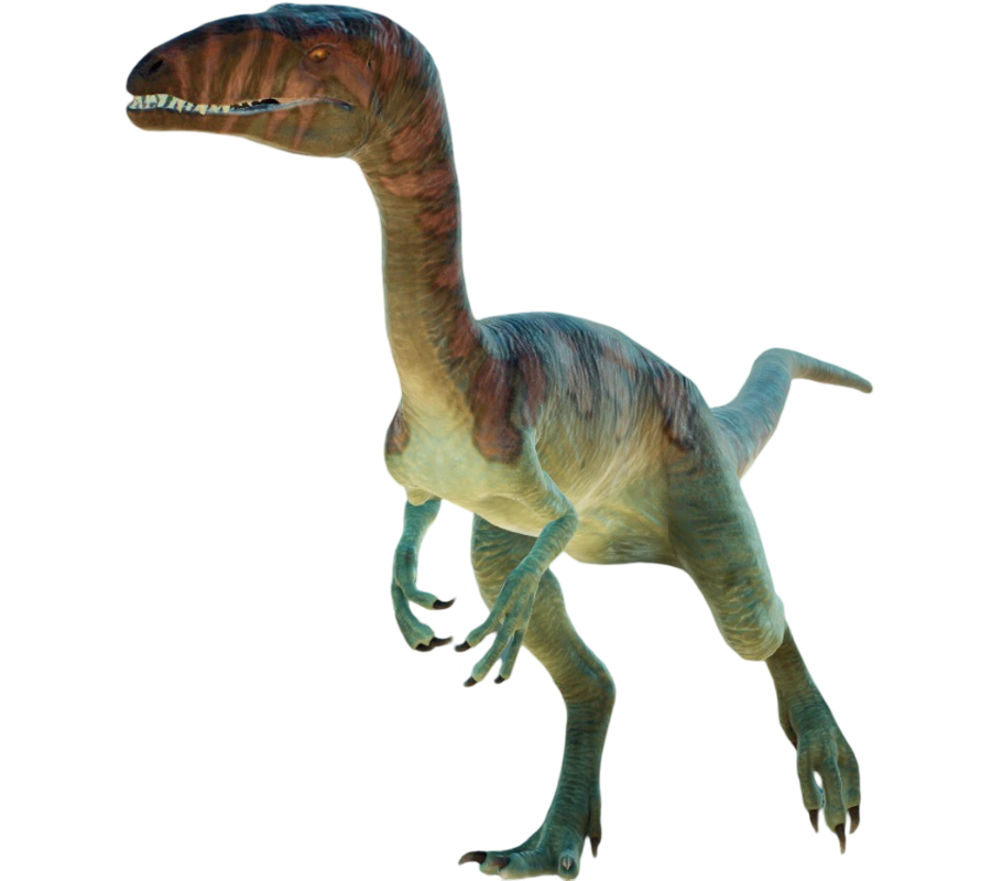 Segiosaurus Segisaurus by Draco-Awesomeness on DeviantArt
