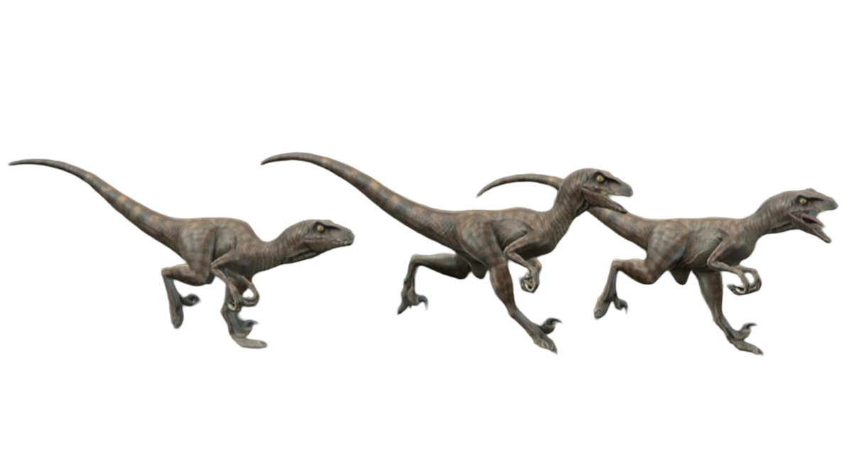 Valorous Raptors Raptors by Draco-Awesomeness on DeviantArt