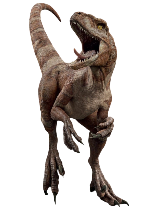 Raptor by Draco-Awesomeness on DeviantArt