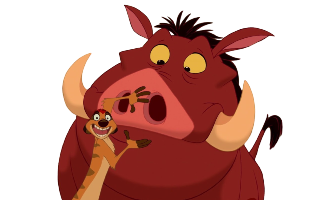 Timon and Pumbaa by Draco-Awesomeness on DeviantArt
