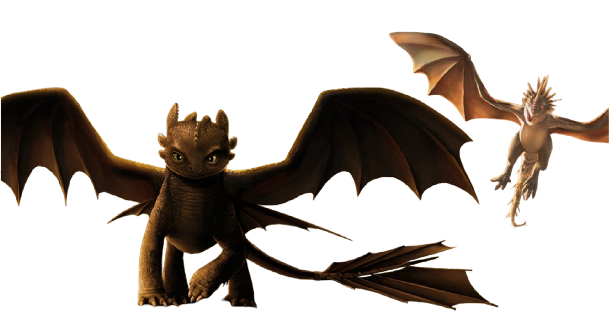 Live action Toothless and Deadly Nadder by Draco-Awesomeness on DeviantArt