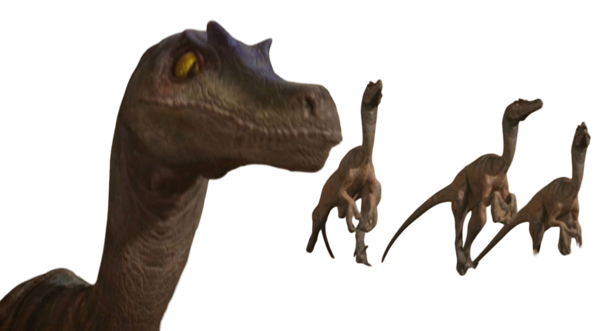 Valorous Raptors Raptors by Draco-Awesomeness on DeviantArt