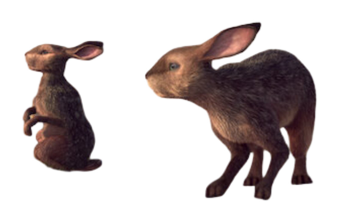 Rabbits by Draco-Awesomeness on DeviantArt