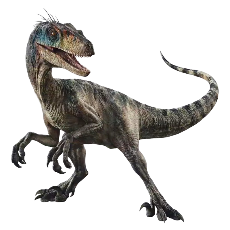Raptor by Draco-Awesomeness on DeviantArt