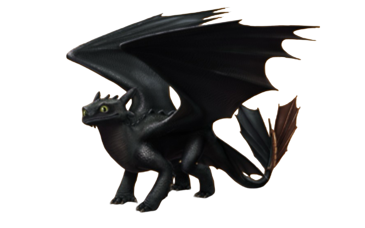 Live action Toothless by Draco-Awesomeness on DeviantArt