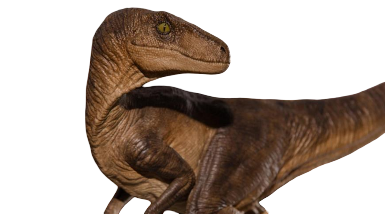 Rebirth Raptor No Background Raptor by Draco-Awesomeness on DeviantArt