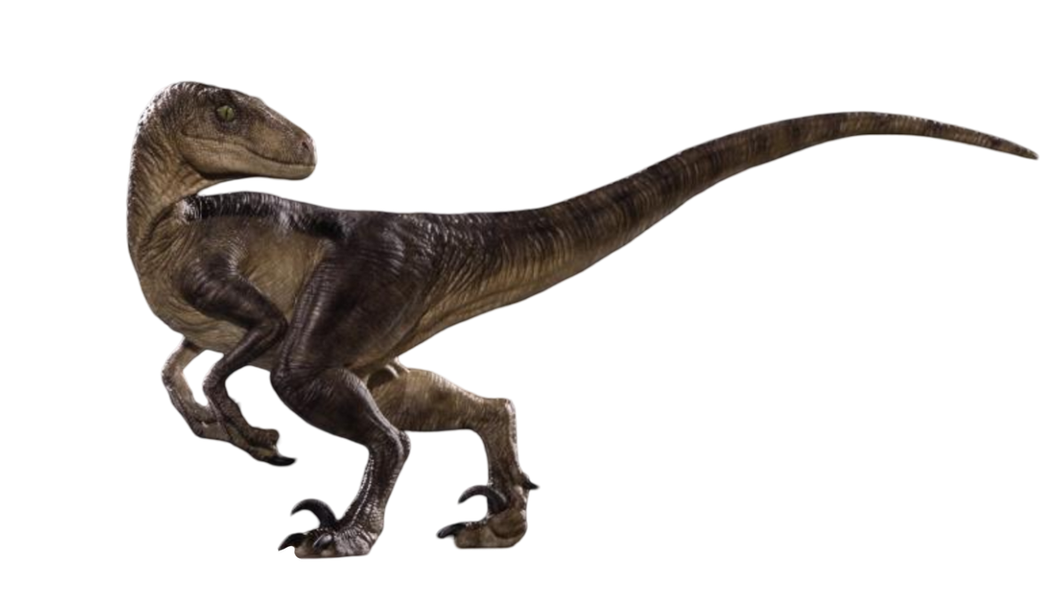 Raptor by Draco-Awesomeness on DeviantArt