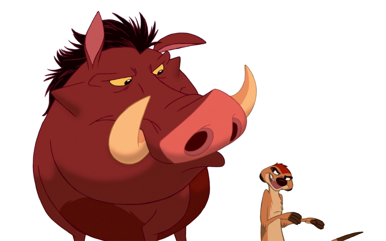 Timon and Pumbaa by Draco-Awesomeness on DeviantArt