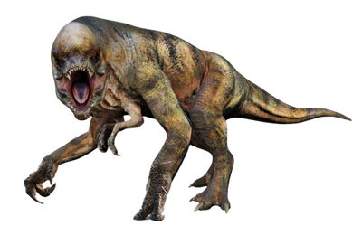 D Rex