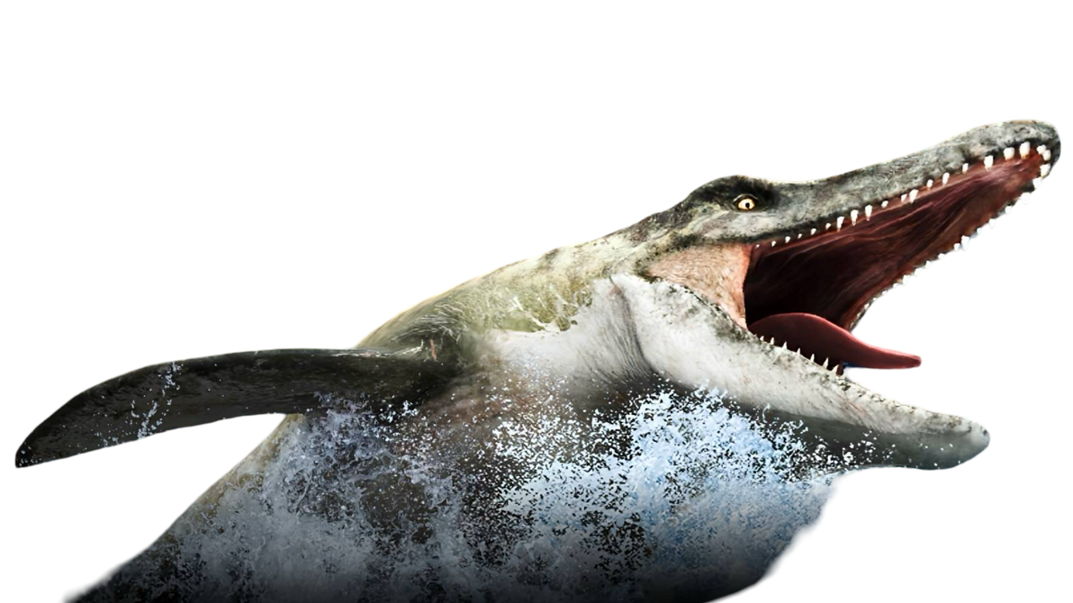 Mosasaurus by Draco-Awesomeness on DeviantArt