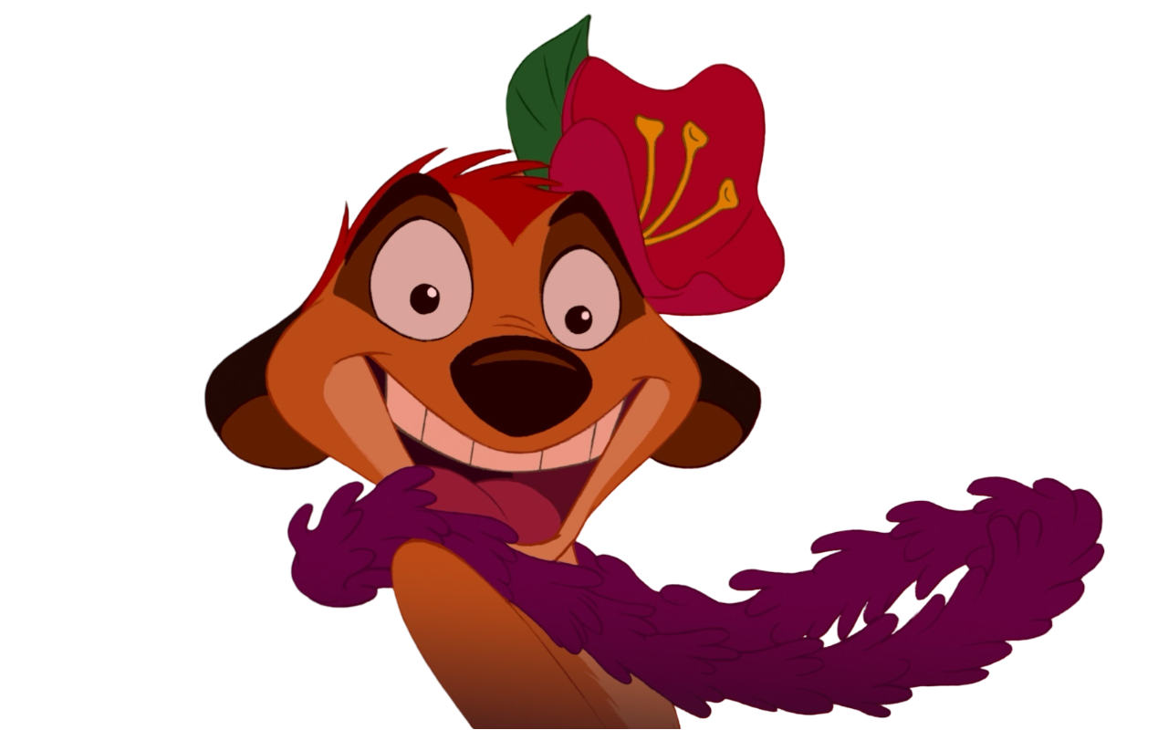 Timon by Draco-Awesomeness on DeviantArt