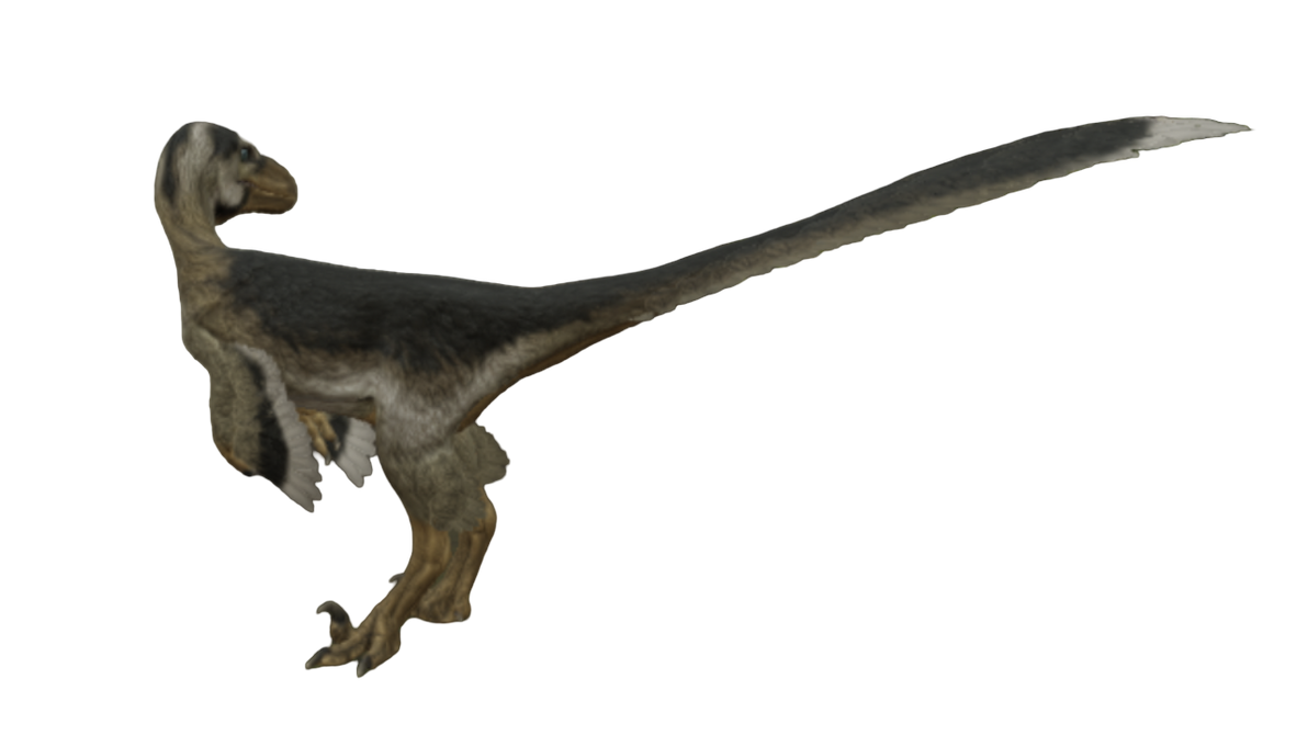 Vector Raptor Talon Talon raptor by Draco-Awesomeness on DeviantArt