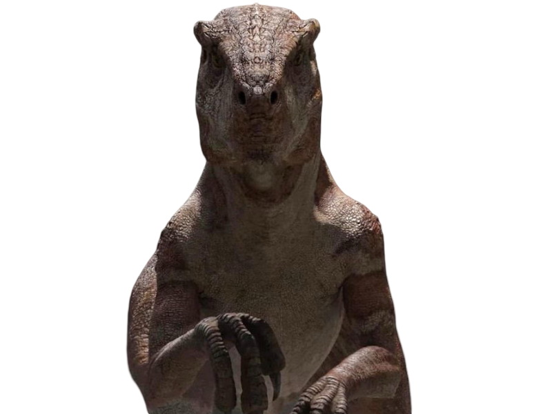 Raptor by Draco-Awesomeness on DeviantArt