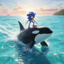 Sonic rides orca