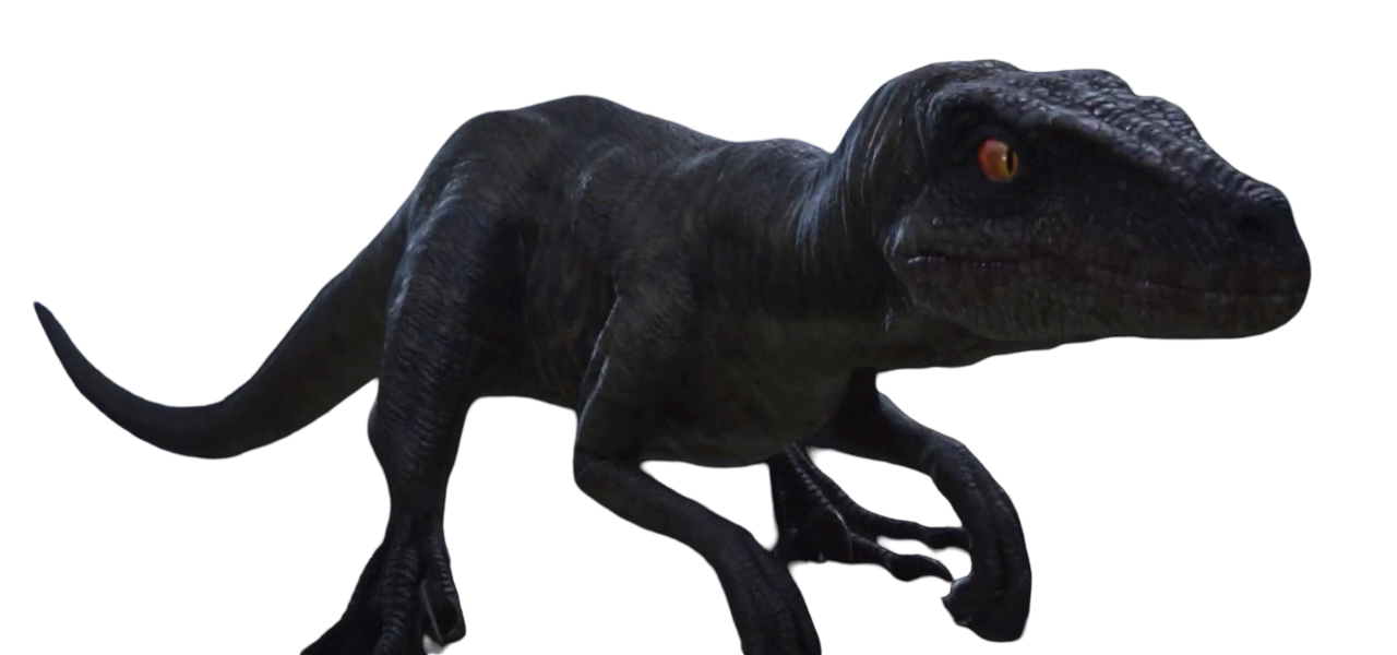 Raptor by Draco-Awesomeness on DeviantArt