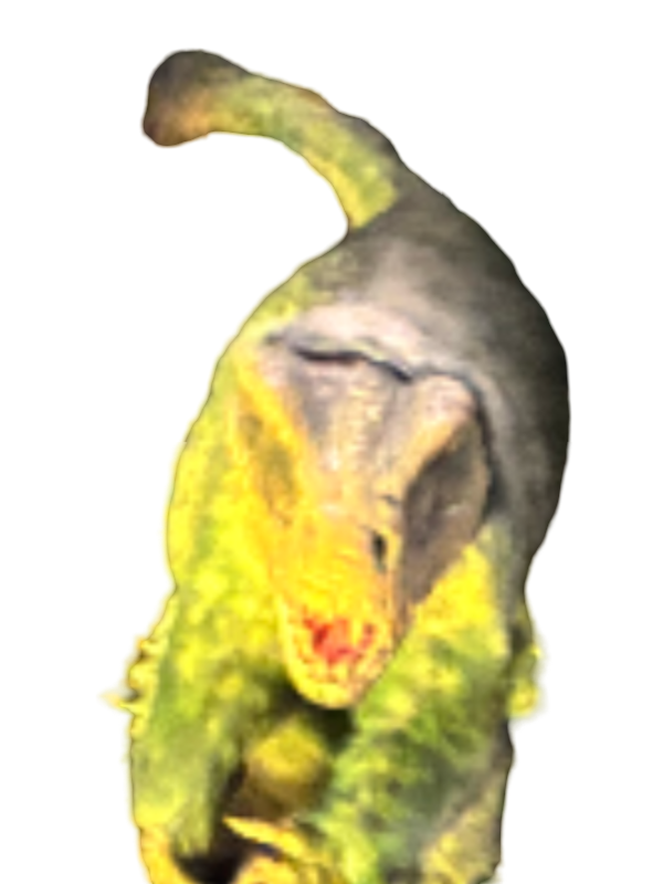 Lazer Raptor Deviantart Raptor by Draco-Awesomeness on DeviantArt