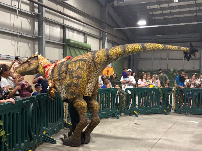 Diego Raptor Diego the raptor meeting everyone by Draco-Awesomeness on DeviantArt