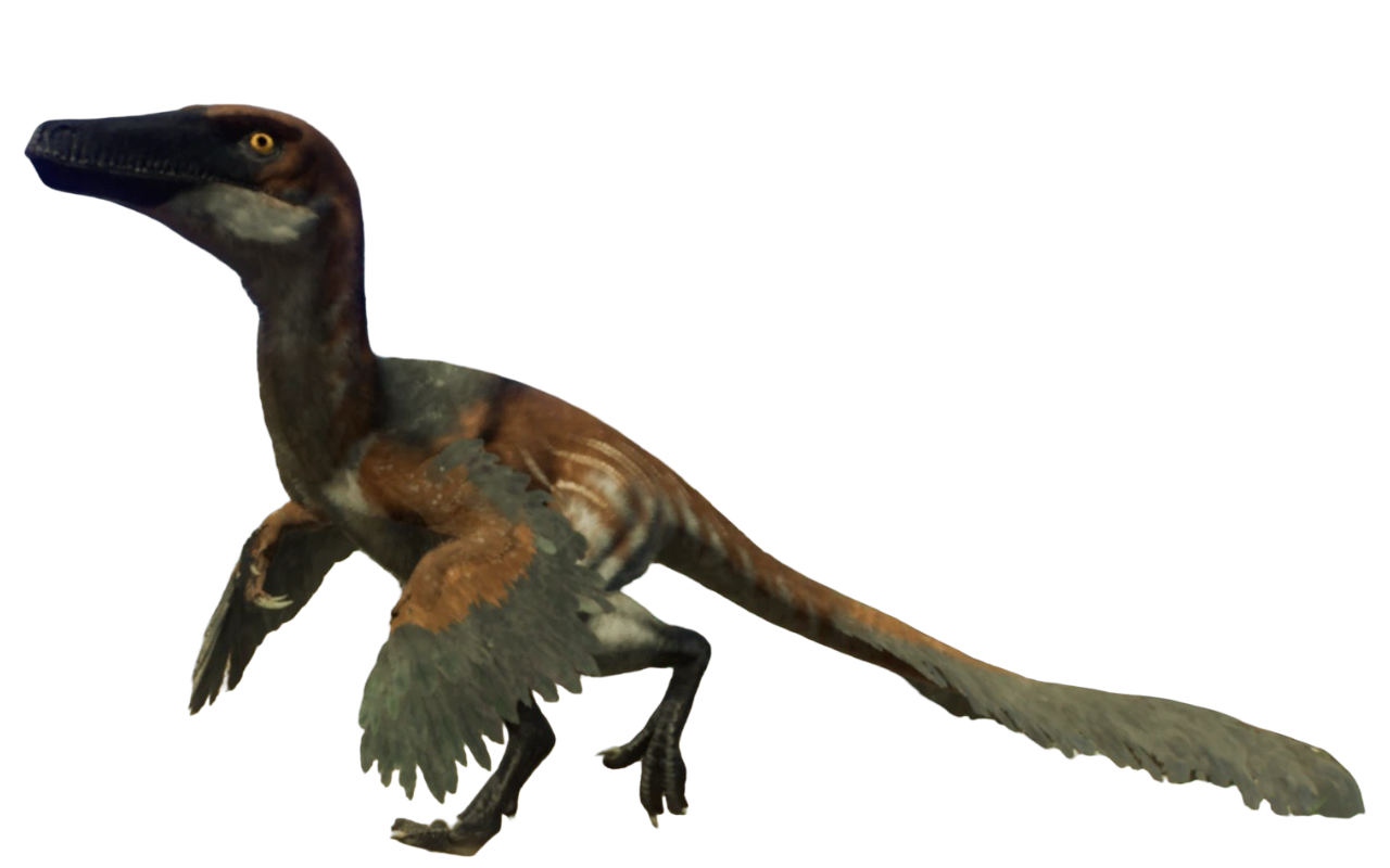 Water Rapter Austroraptor by Draco-Awesomeness on DeviantArt