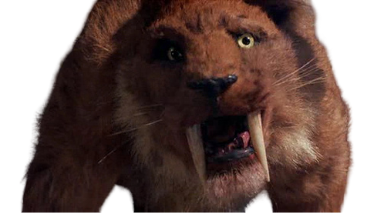 Grumpy Sabertooth Sabertooth by Draco-Awesomeness on DeviantArt