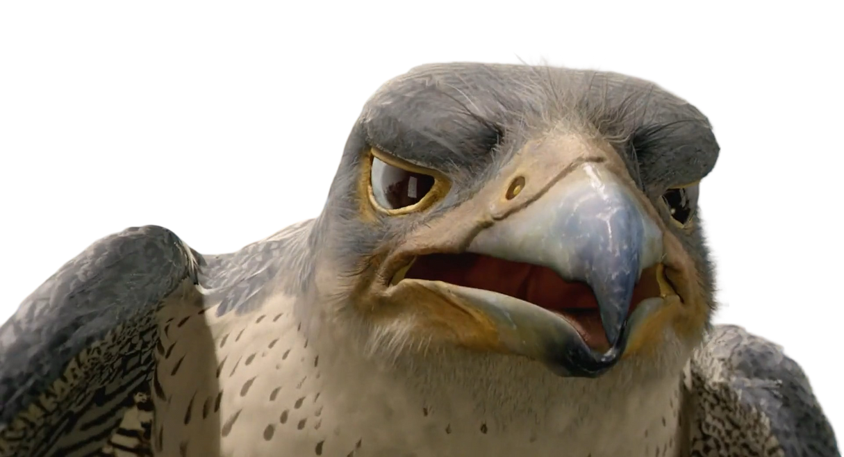 Falcon by Draco-Awesomeness on DeviantArt