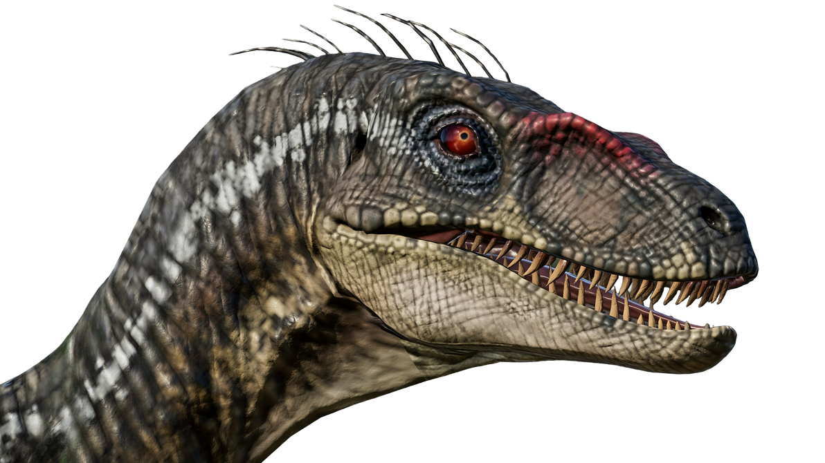 Raptor by Draco-Awesomeness on DeviantArt