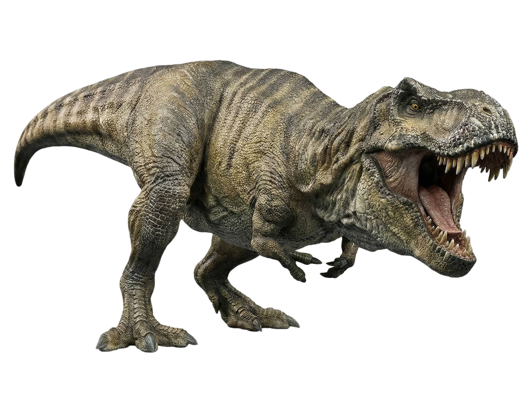 T Rex R Image T. rex by Draco-Awesomeness on DeviantArt