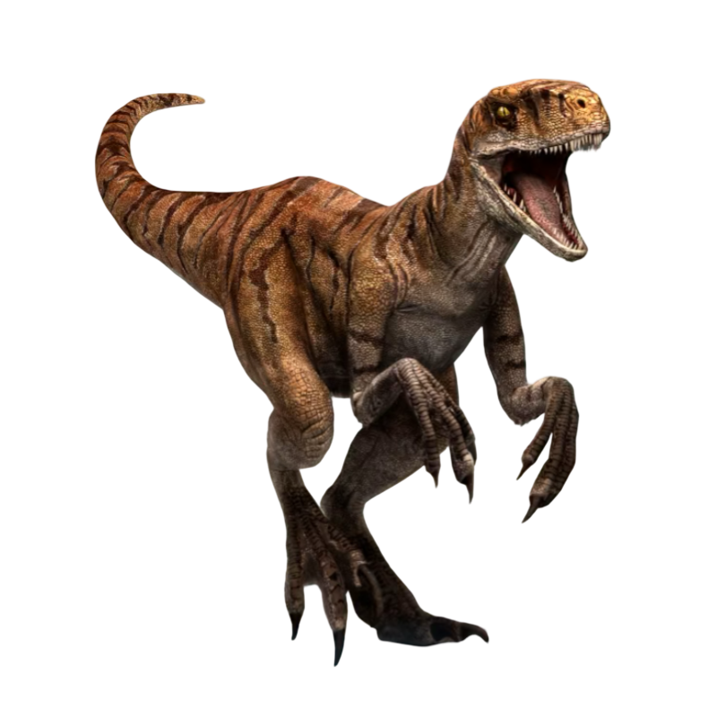 Raptor by Draco-Awesomeness on DeviantArt