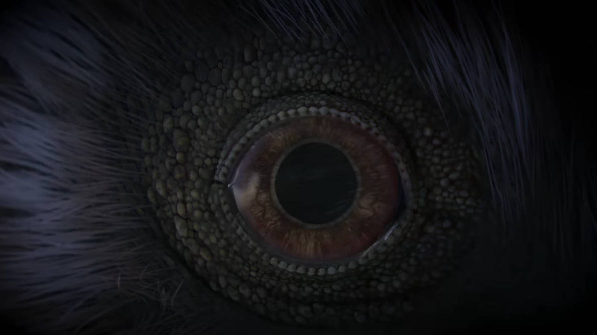 Red Eye Raptor Raptor eye by Draco-Awesomeness on DeviantArt