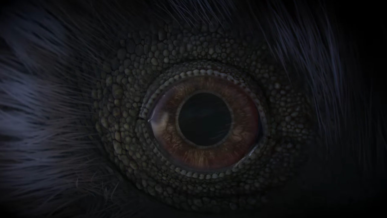 Real Raptor Eye Raptor eye by Draco-Awesomeness on DeviantArt