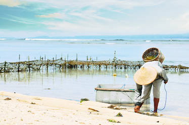 Seaweed Farmer