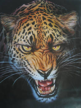 Jaguar