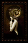 Pure by Maay