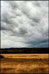 Golden fields by XMetalXGuitarXMaster