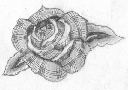 Plaid rose