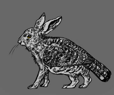 Skvader Rabbit Explore the Best Skvader Art | DeviantArt