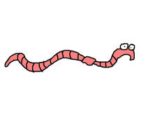 Worm