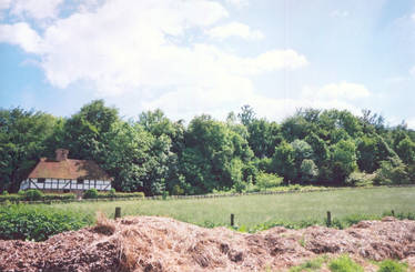 Manure and a house in the wood
