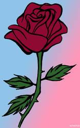 Rose -colored-