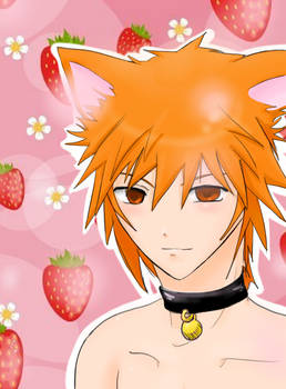 Neko Ichigo