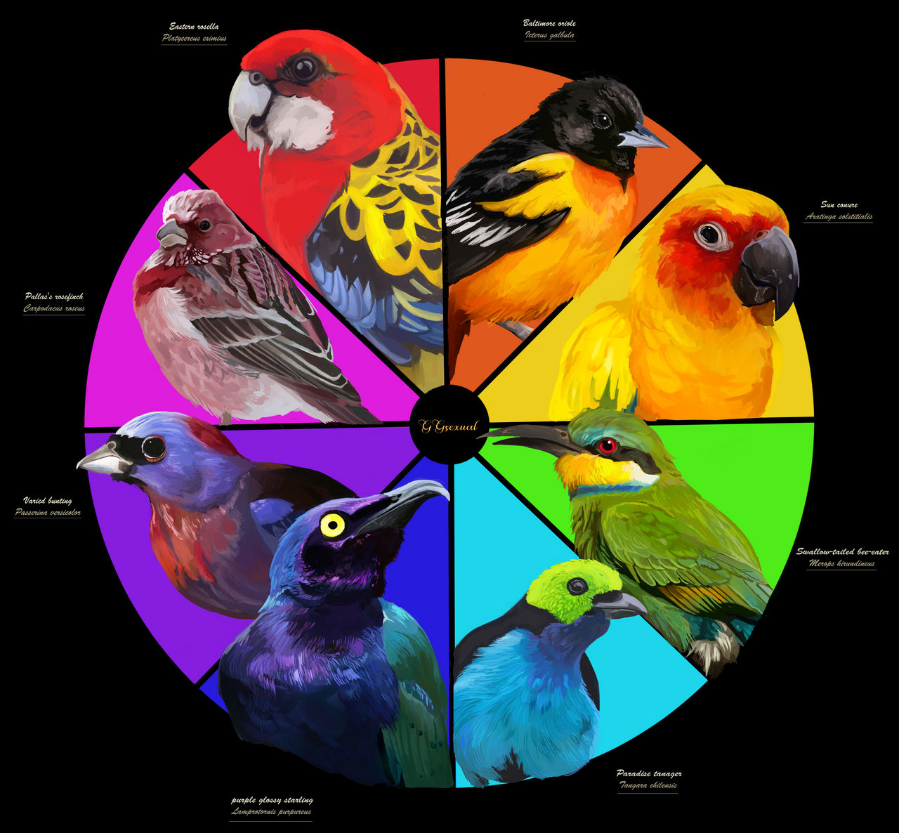 Premier Wheel Enabled Avian Bird Habitat Design photo