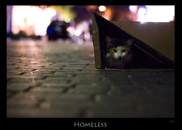 Homeless