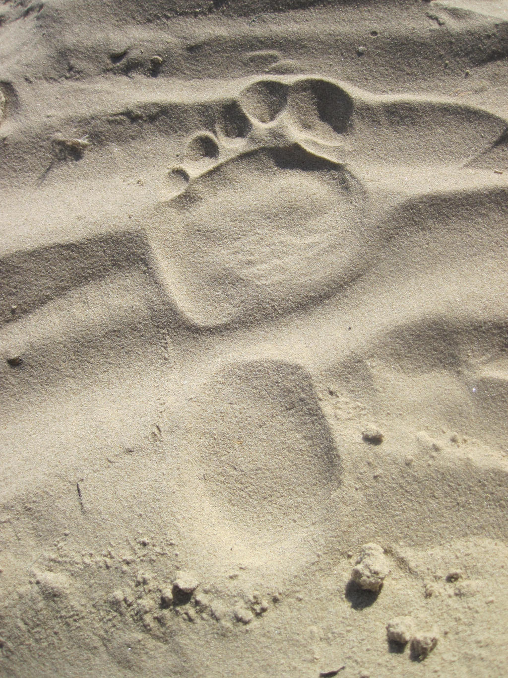 Footprint on the Moon