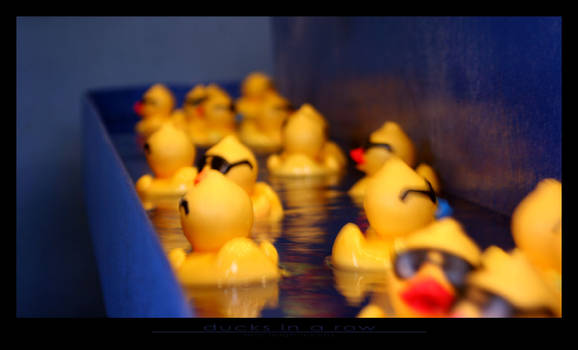 ducks in a row