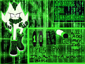 New Character Matrix the hedgehog by xXAlshaniXx New Character Matrix the hedgehog by xXAlshaniXx